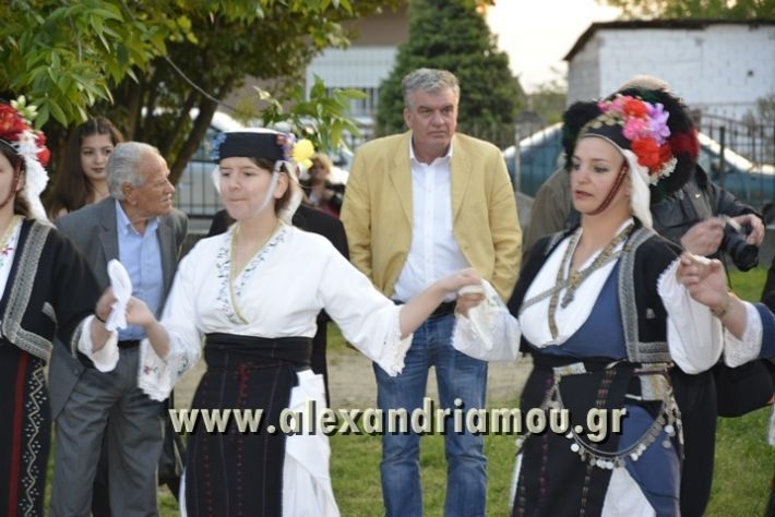 alexandriamou_KAMPOXORI_XOREYTIKA_AG. GEORGIOS17065